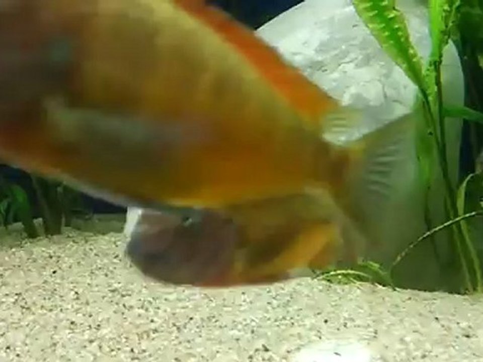 20120507_231133