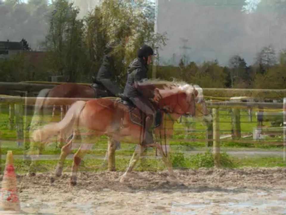 Montage de nos 6 mois.