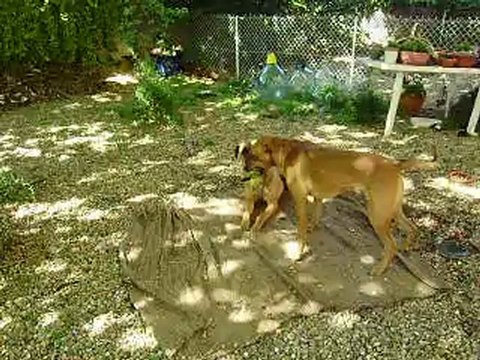 Leelo et Eros journée du Parc Athéna