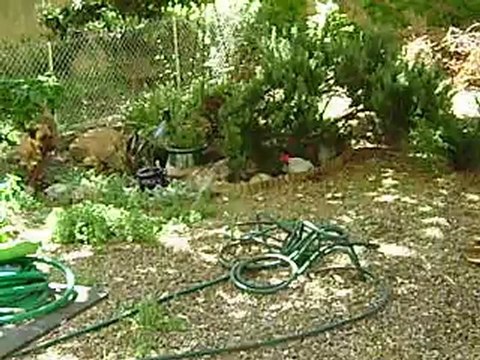 Leelo et Eros journée du Parc Athéna N° 2