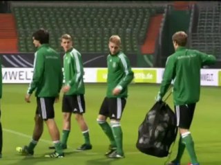 Germania - La rosa allargata di Loew