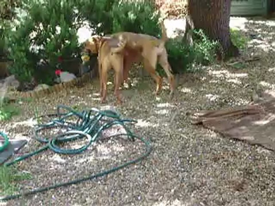 Leelo et Eros journée du Parc Athéna  N° 3