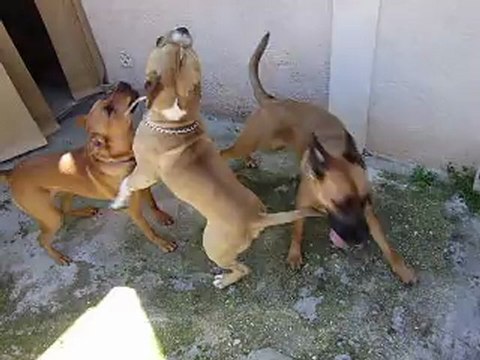 Leelo et Eros journée du Parc Athéna N° 4