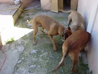 Leelo et Eros journée du Parc Athéna  N° 5