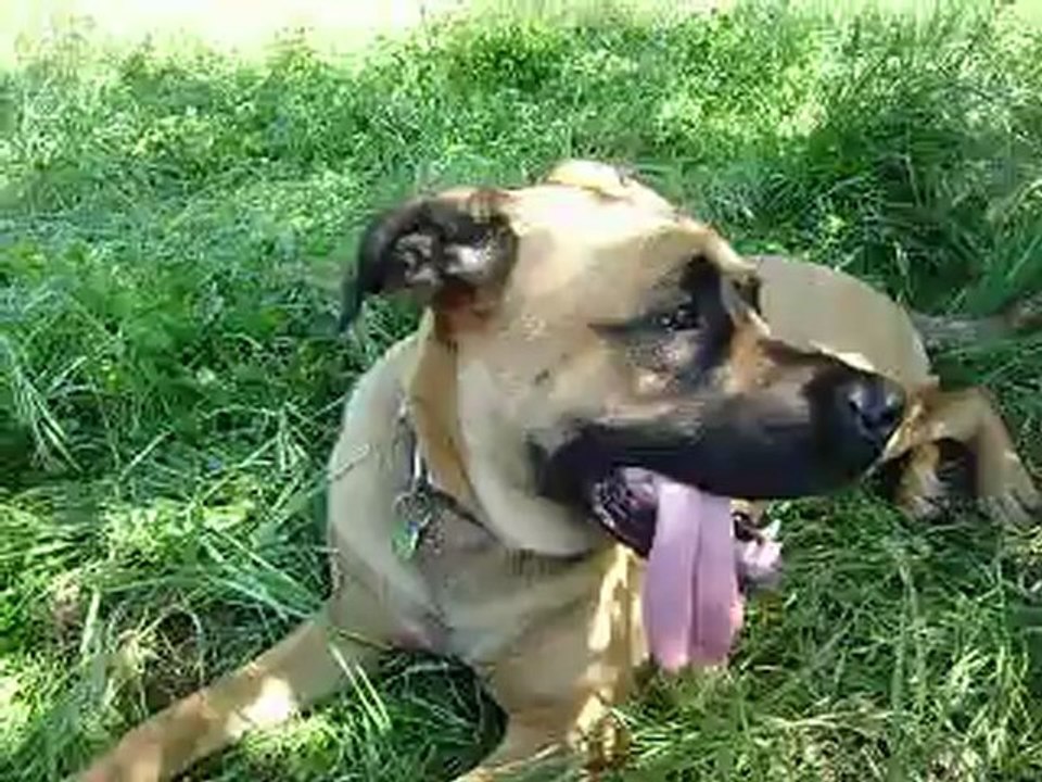 Leeloo et Eros journée du Parc Athéna n° 7