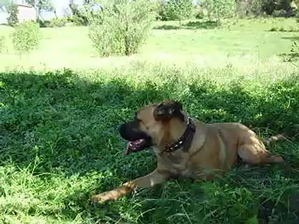 Leeloo et Eros journée du Parc Athéna n° 8