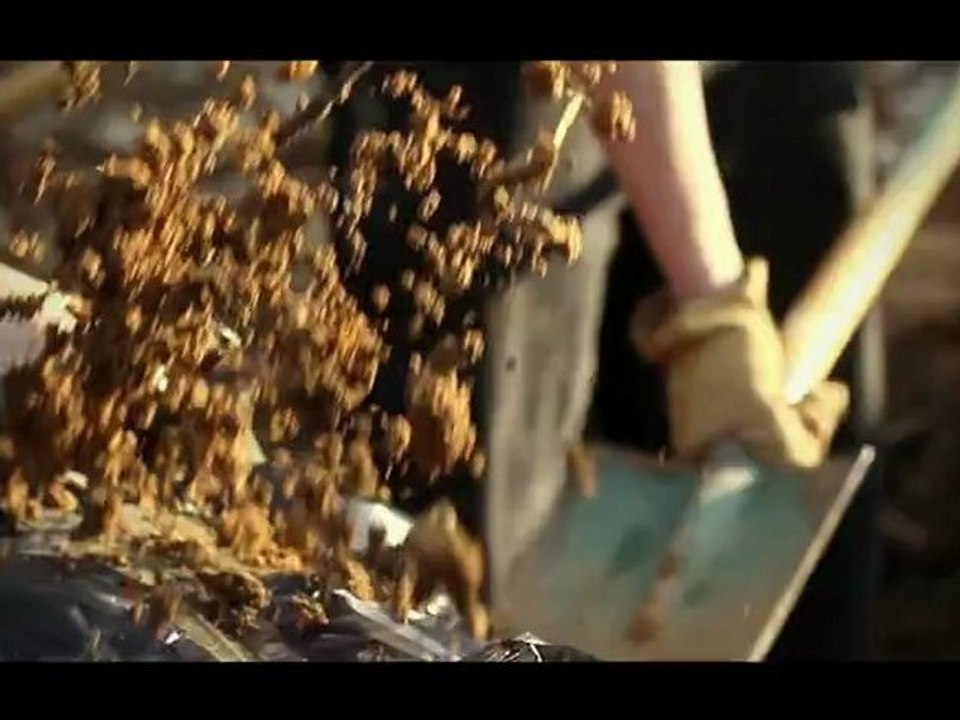 YOSHI DI ORIGINAL - FAUX FRÈRES [HD CLIP]