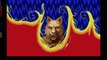 Classic Game Room - ALTERED BEAST on Sega Genesis & PS2 review