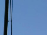 فري برس حماة المحتلة تحليق هليكوبتر على علو منخفض 6 5 2012 Hama