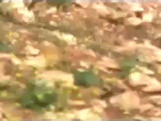 فري برس  حلب حيان  احراق بيوت الناشطين 7 5 2012 Aleppo