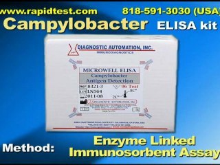 Campylobacter Antigen Detection ELISA kit