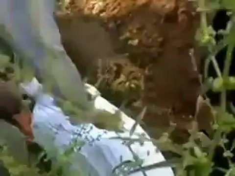 فري برس حمص تشيع الشهيد خالد الدقاق مع اطلاق نار 5 5 2012 Homs