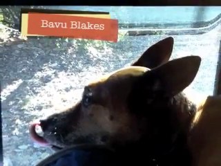 Why I Love My Little Guy Teardrop Trailer