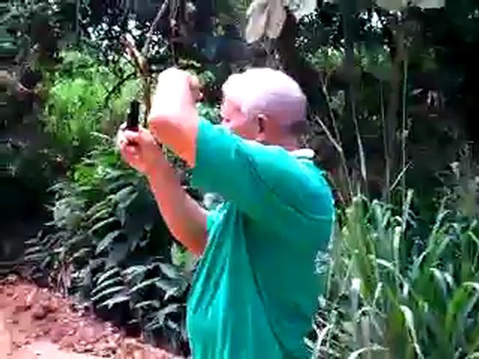 TI-PAULO ORANDO PARA SER RESGATADO NA FLORESTA E BATEDOR ENGOLE PEIXE VIVO