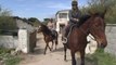 Quiberon - Les chevaux de l'amour - TV Quiberon 24/7