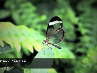 Giovanni Marradi - For you mon