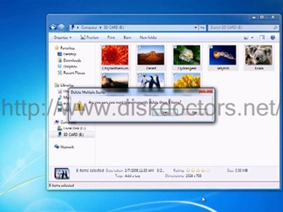 Disk Doctors Undelete