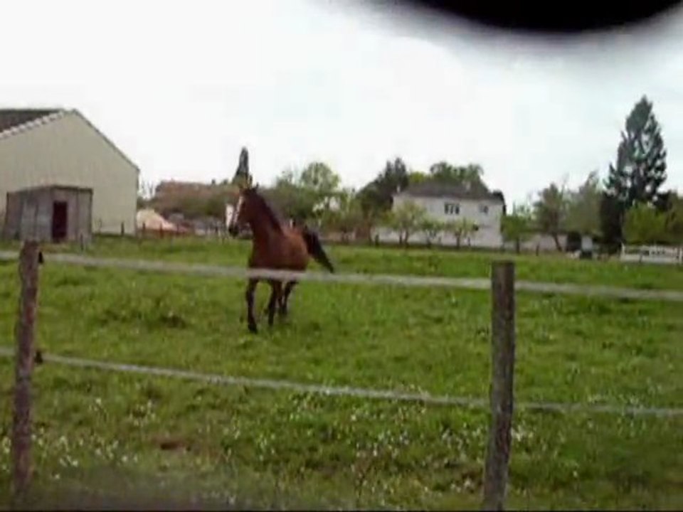 Lou va bien !