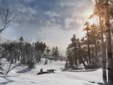 Assassin's Creed III - Gameplay Teaser