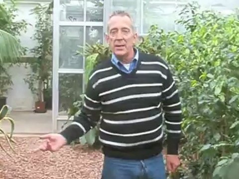 Portes ouvertes des serres municipales d'Arras