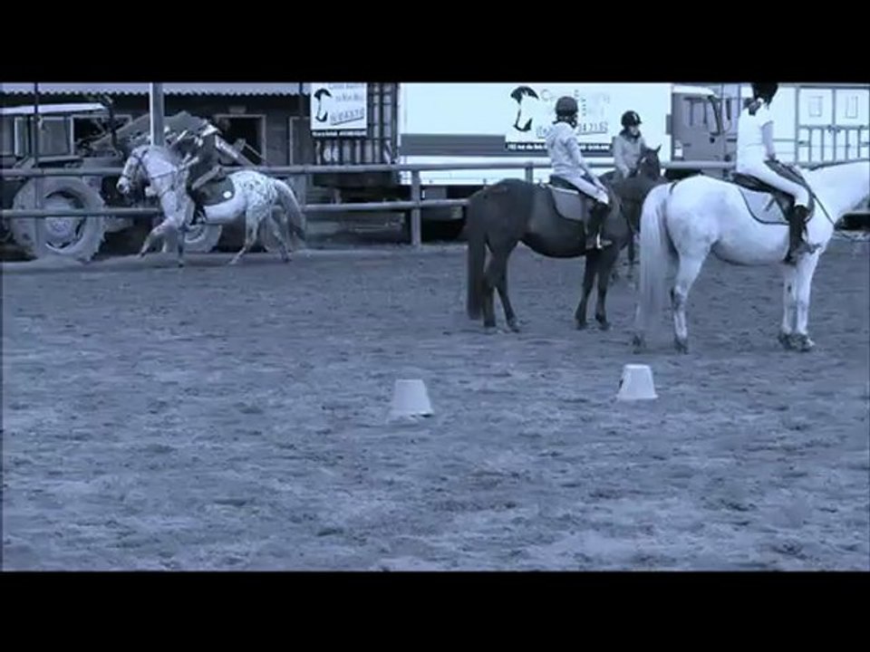 Maestro du Hardrais ♥