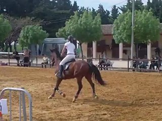 Charlotte et Tina 80cm