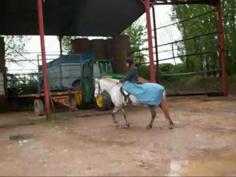 Entrainement TREC avec ma grisette