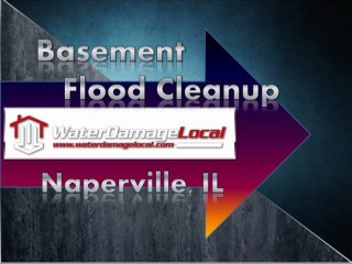 Naperville, IL Basement Flood Cleanup