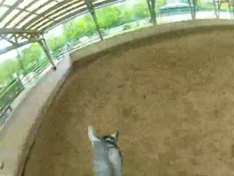 Nouveau jouet : GoPro