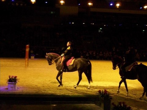 Le cadre noir de Saumur