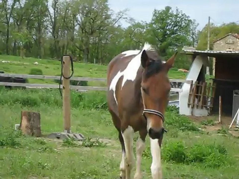 vénus