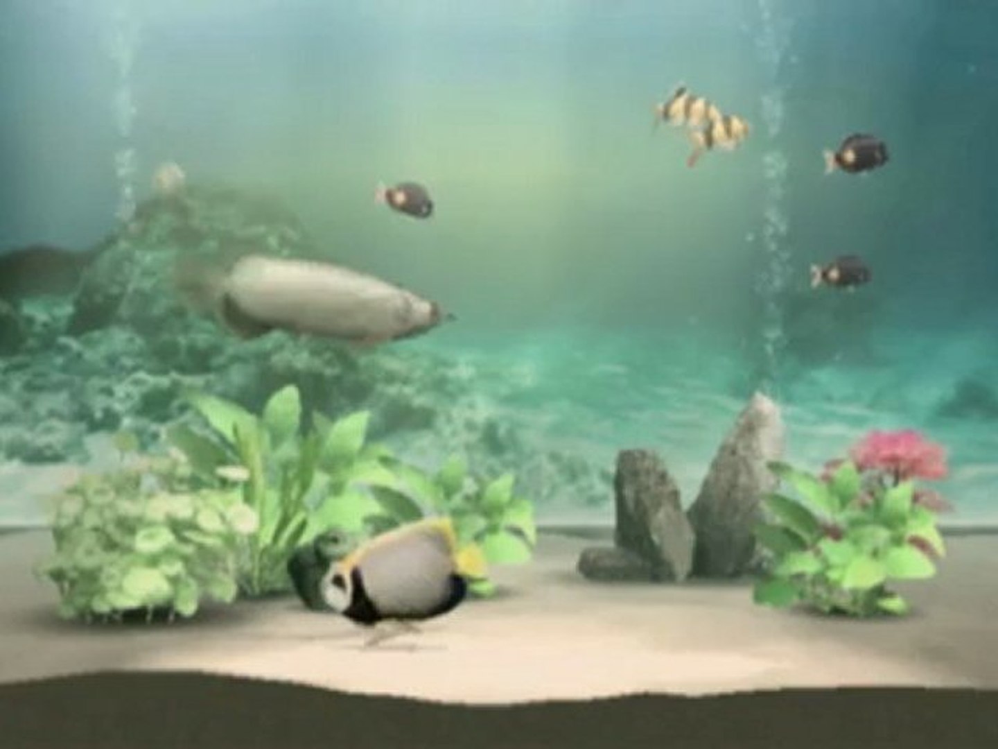 Classic Game Room - MY AQUARIUM for Nintendo Wii WiiWare review - video  Dailymotion
