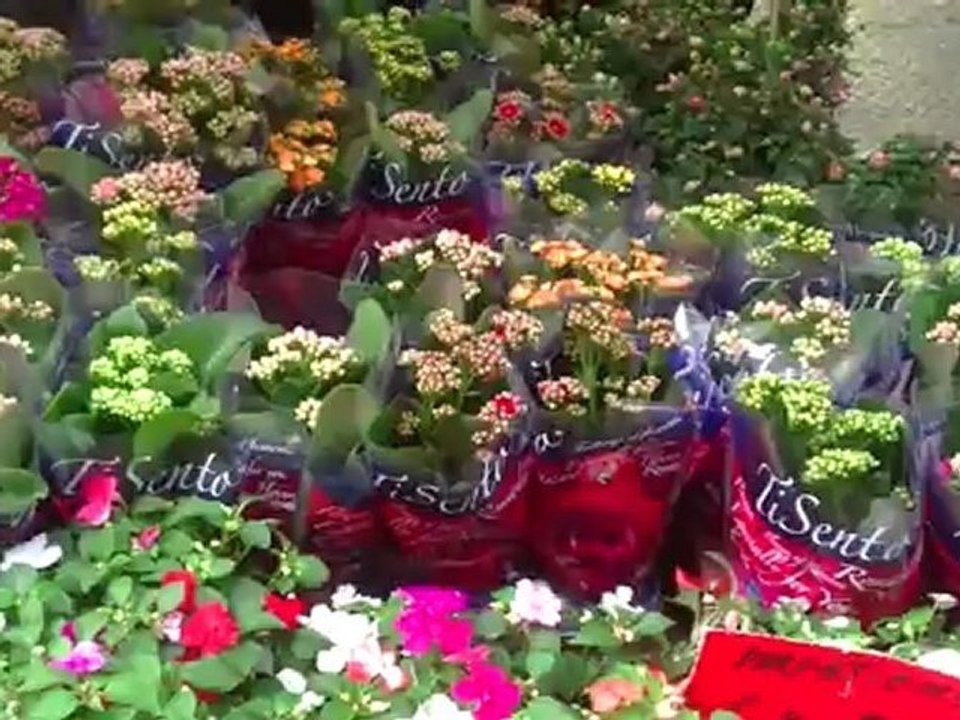 GHANTHO .58 Planten Bloemen Amsterdam foto Alyas Hanna .