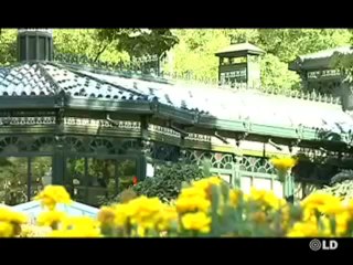 Cultura en Comunidad - 10/10/08