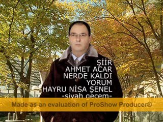 NERDE KALDI-video......