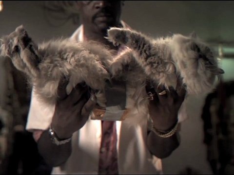 Pub : Flying Horse - Chat + Tartine Beurrée