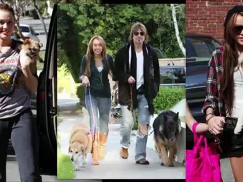Miley Cyrus' New Pooch