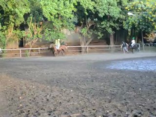1er carousel