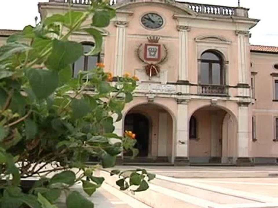 il sogno dei grillini