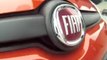 Fiat Panda Third Generation | Drive it!
