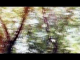 THG ×•× Peeta & Katniss - The reaping changed our lives