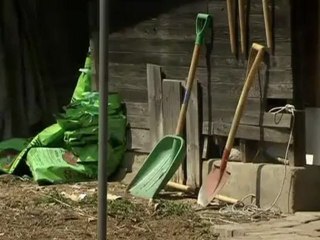 Korean urbanites make the move from city to farm