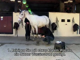 Animaderm - CUTENE Gebrauchsanweisung (deutsch)