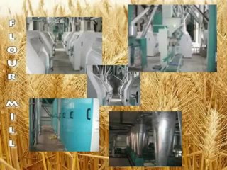 Make Bread Wheat Flour