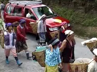 ORANGE VALLEY DARJEELING WEST BENGAL