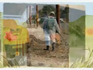 Village-Pest-Services-(352)-245-4522