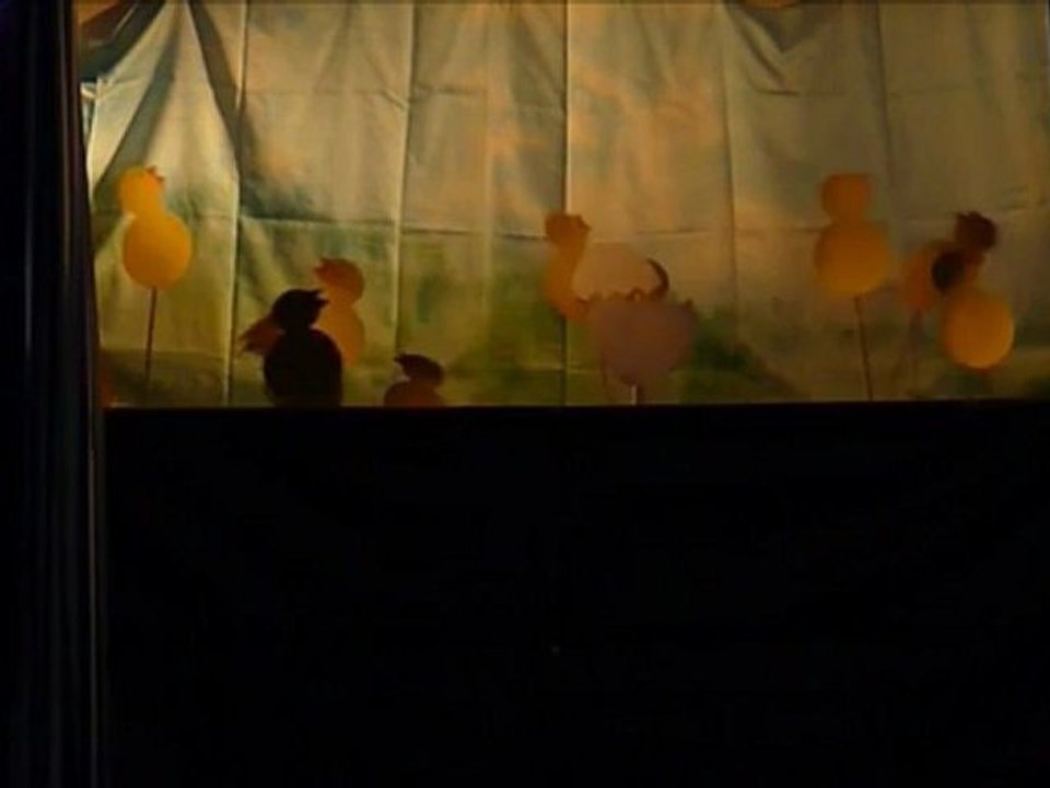 Ballet des poussins dans leurs coques