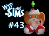 WTF Les Sims 43 - Bouyachaka !