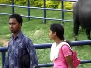 KANKE DAM RANCHI JHARKHAND