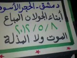 فري برس دمشق الحجر الاسود مسائية لابناء الجولان المباع 8 5 2012ج2 Damascus